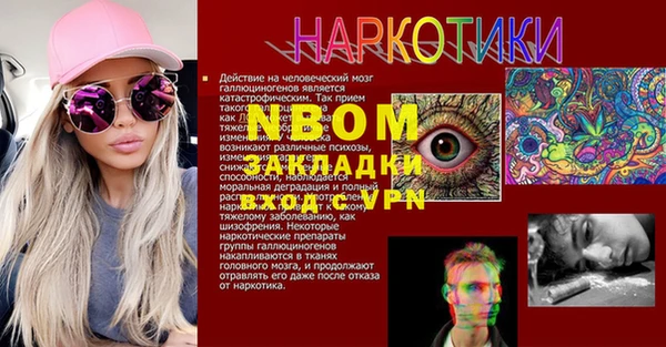 стафф Бородино