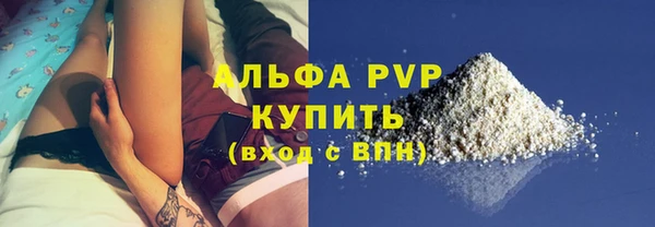 стафф Бородино