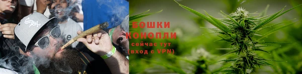 стафф Бородино