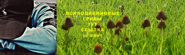 стафф Бородино