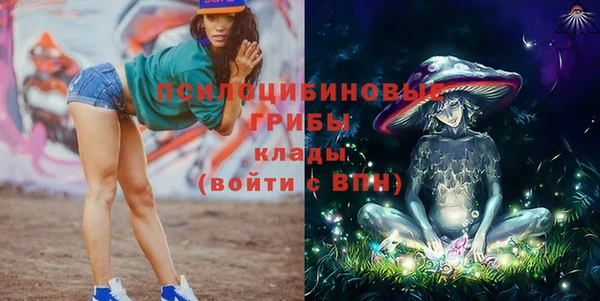 стафф Бородино
