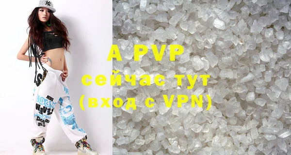 стафф Бородино