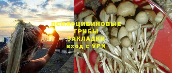 спиды Бугульма