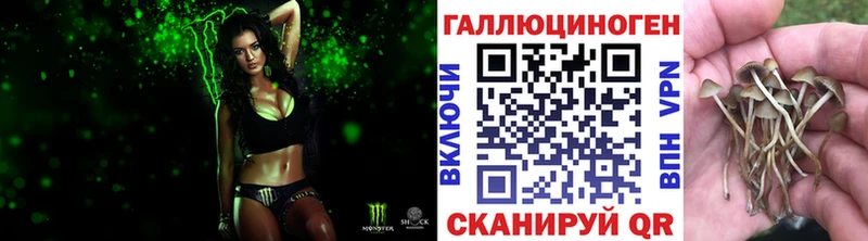 Псилоцибиновые грибы Psilocybe  Смоленск 